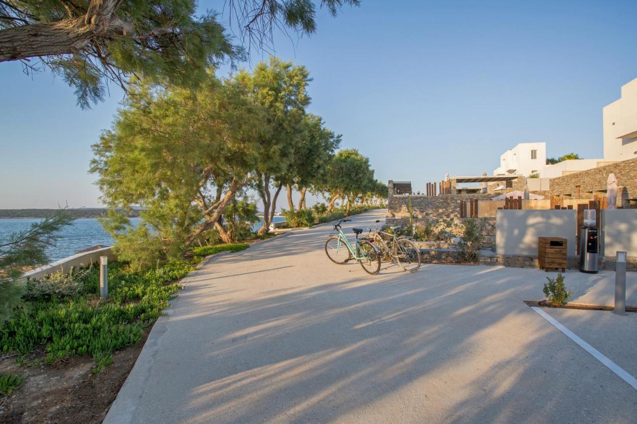 Paros Comfy 4* Náousa