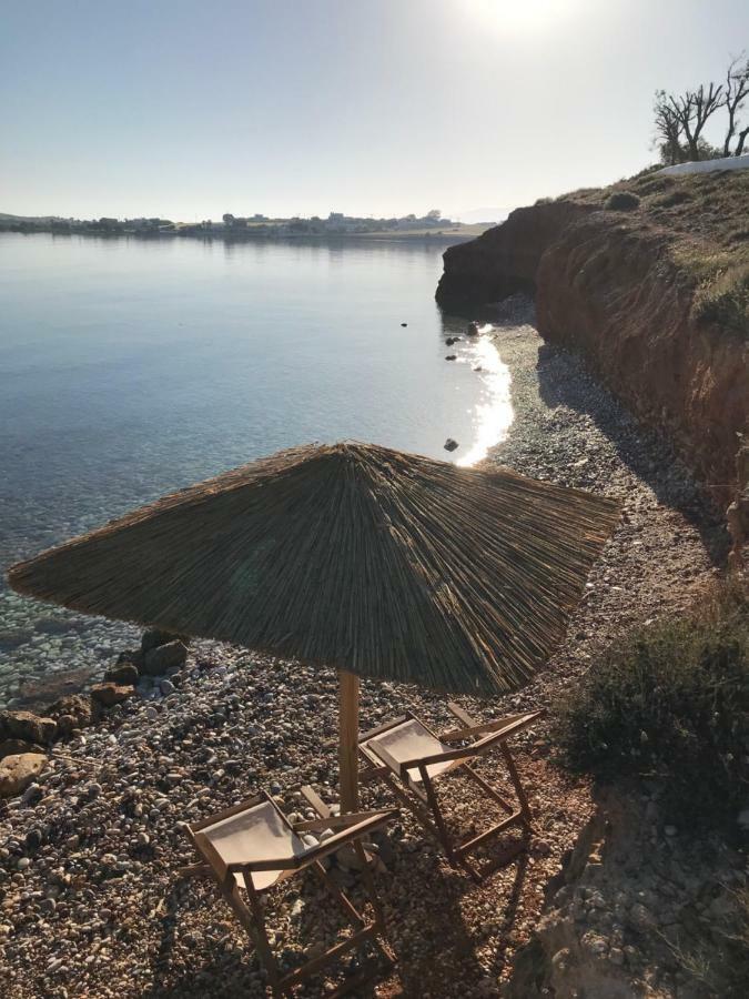 Hotel Paros Comfy Naoussa